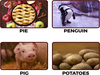 Snapshot Pie Penguin Pig Potatoes Image